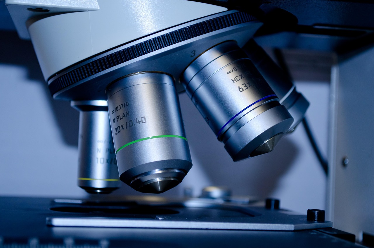 entdecken sie die neuesten erkenntnisse und trends in der forschung. erfahren sie mehr über innovative studien, spannende projekte und wissenschaftliche durchbrüche, die die welt verändern.