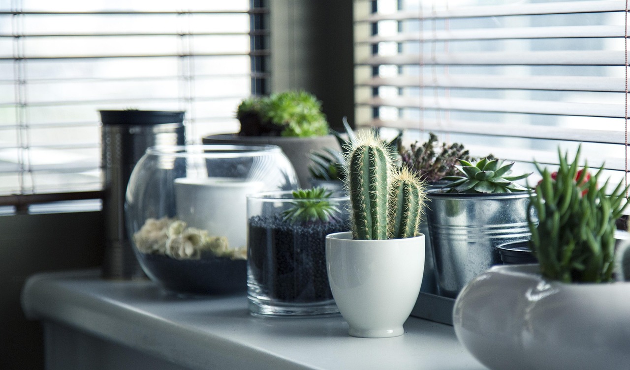 entdecken sie stilvolle und moderne wohnaccessoires und dekorationen für ihr zuhause. lassen sie sich inspirieren und verleihen sie jedem raum eine persönliche note mit unserer sorgfältig ausgewählten kollektion an heimdekoren.