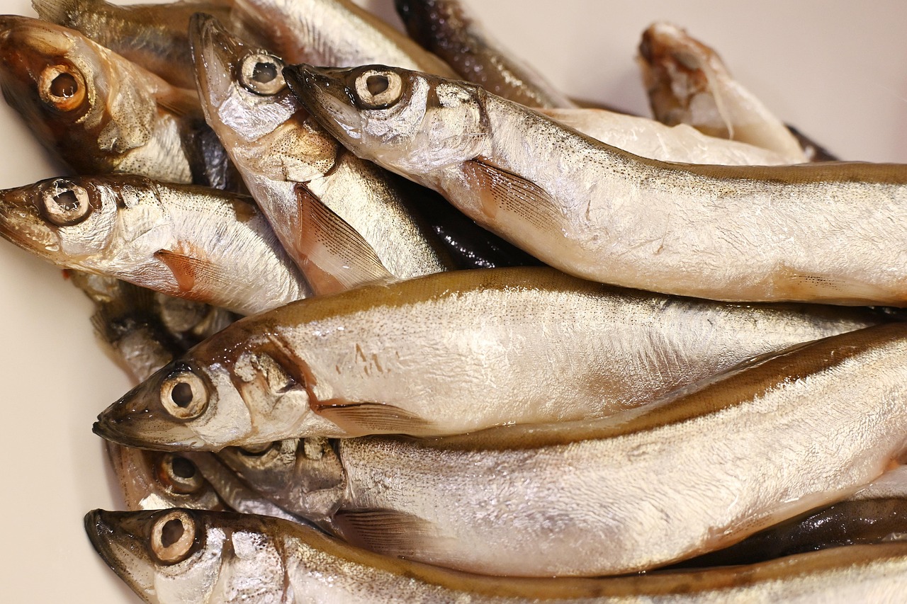 entdecken sie die aufregende welt der kochwettbewerbe! lassen sie sich von talentierten köchen, kreativen rezepten und spannenden herausforderungen inspirieren. erleben sie die besten kochkünste und aufregende kulinarische duelle!