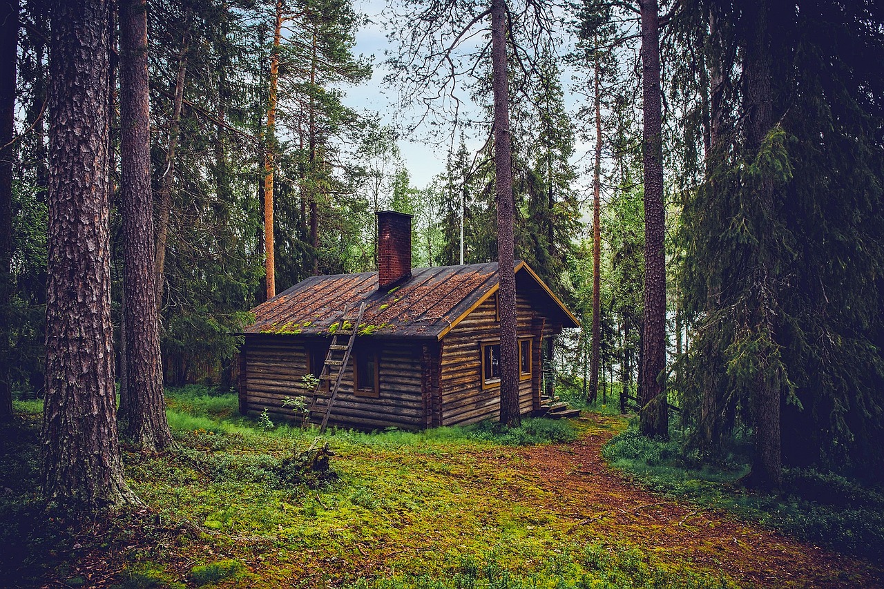 entdecken sie effektive tipps und tricks zur optimalen organisation ihres zuhauses. erfahren sie, wie sie ihren wohnraum effizient gestalten und einen harmonischen lebensraum schaffen können.