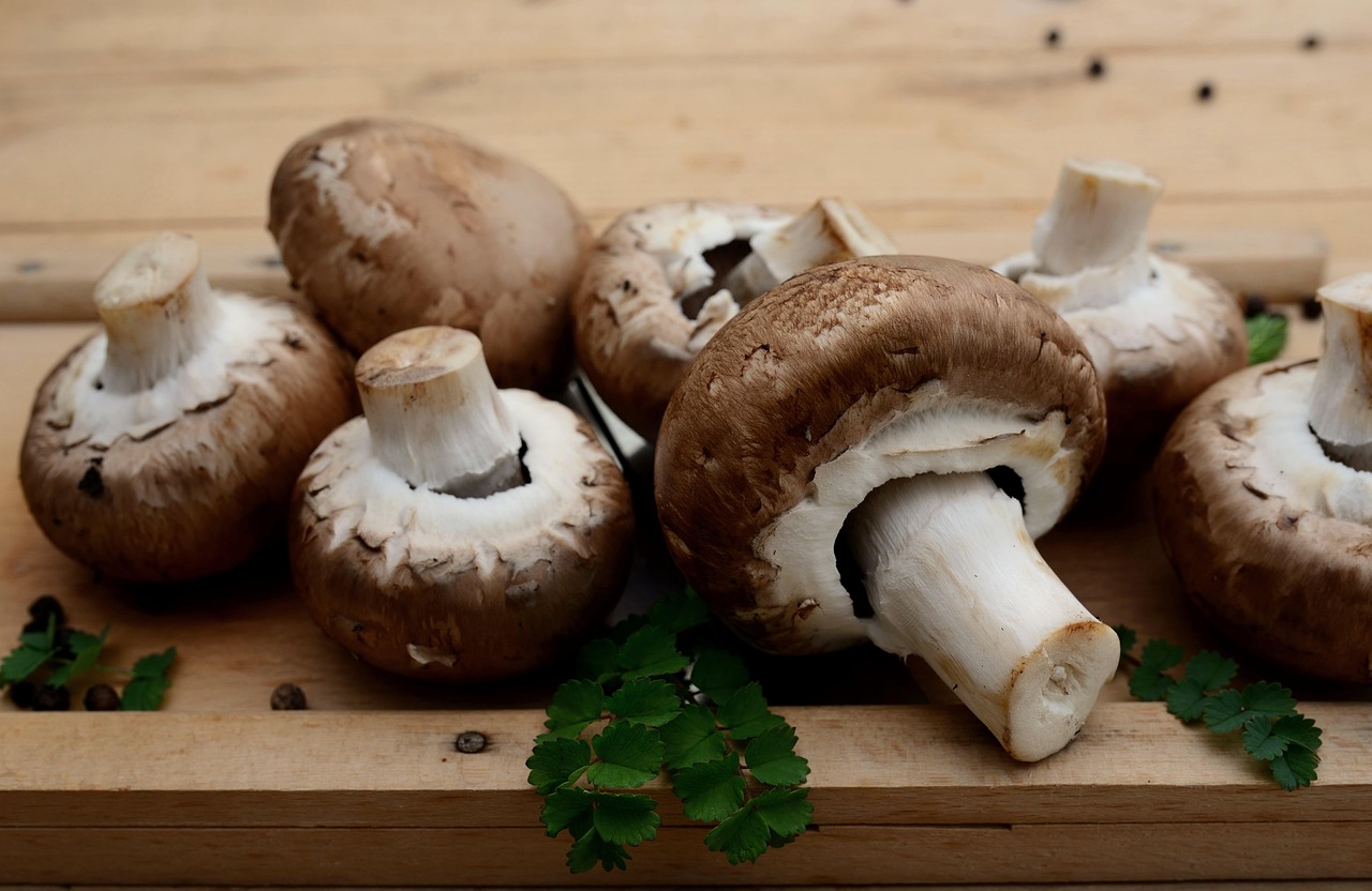 entdecken sie köstliche und kreative vegetarische rezepte, die einfach zuzubereiten sind. lassen sie sich von gesunden zutaten und vielfältigen aromen inspirieren, um köstliche gerichte für jeden anlass zu kreieren!