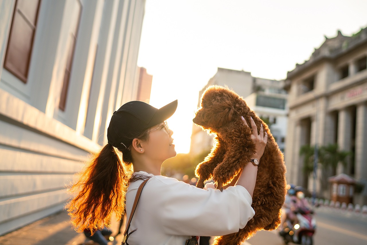 entdecken sie die besten tipps und ratschläge für die pflege von haustieren. von hunden und katzen bis zu exotischen tieren – alles, was sie für ein glückliches und gesundes leben mit ihren lieblingen wissen müssen.