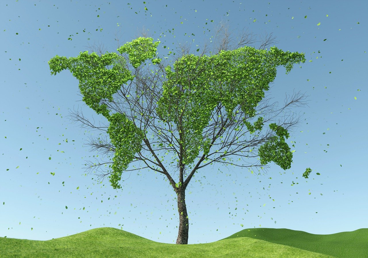 entdecken sie die neuesten trends und praktiken im bereich nachhaltigkeit. erfahren sie, wie unternehmen und einzelpersonen zur wahrung unserer umwelt beitragen können. nachhaltigkeit ist der schlüssel zu einer besseren zukunft.