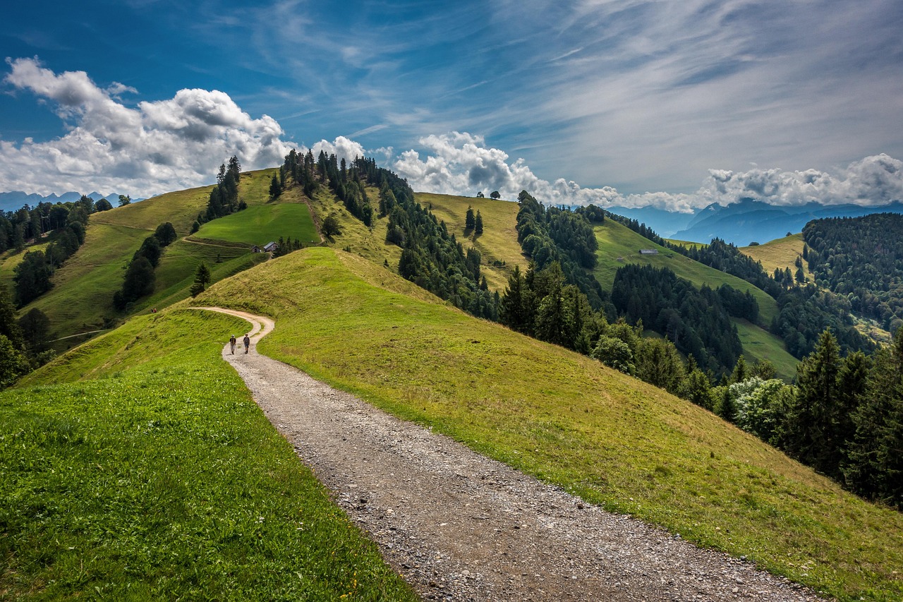 entdecken sie die neuesten trends und produkte für walker, die ihnen mehr mobilität und unabhängigkeit im alltag bieten. wir bieten umfassende informationen und tipps, um den besten walker für ihre bedürfnisse zu finden.