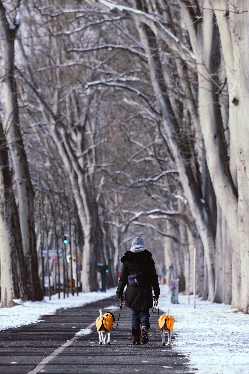 entdecken sie die welt der walker – praktische und stilvolle gehhilfen, die ihnen mehr mobilität und unabhängigkeit im alltag bieten. ideal für senioren und menschen mit mobilitätseinschränkungen.