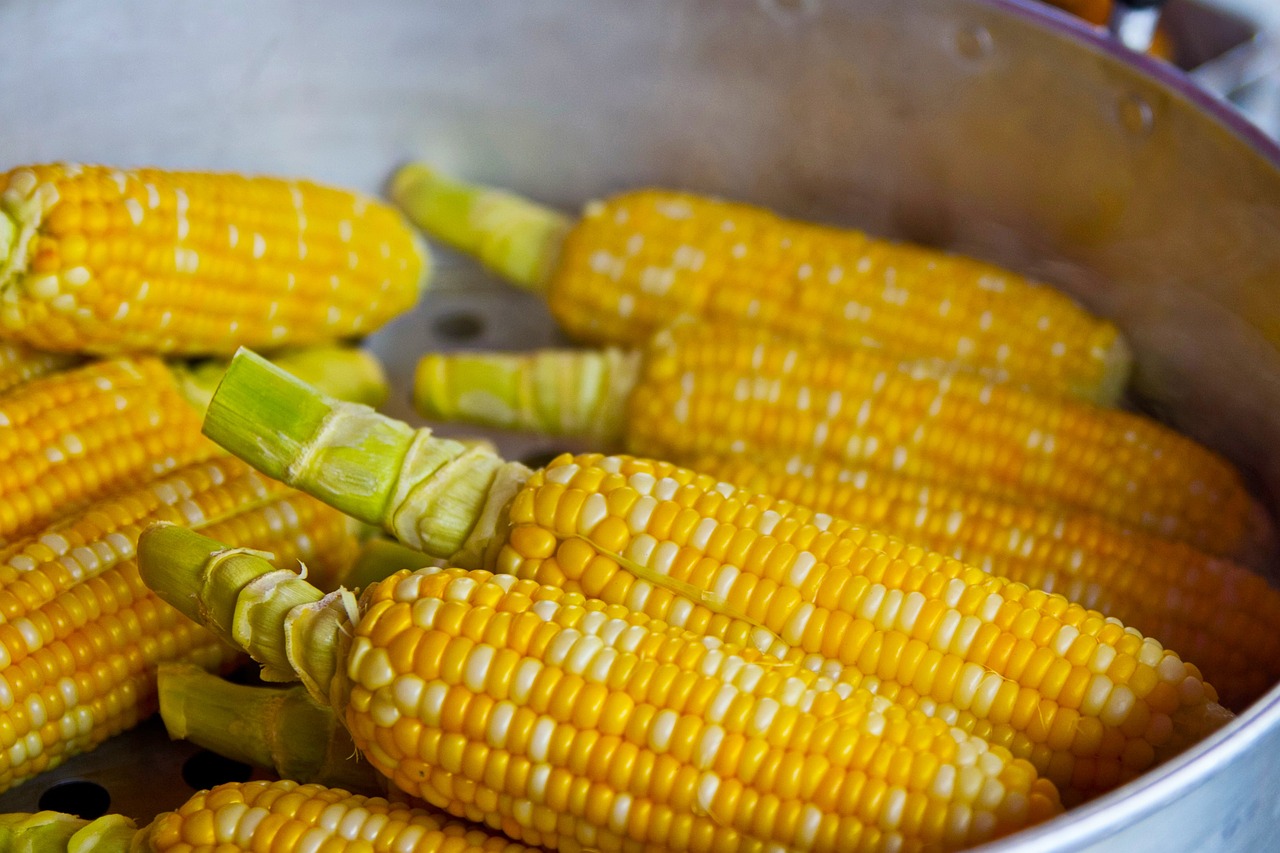 erfahren sie alles über ernährung: tipps, gesunde rezepte und die wichtigsten nährstoffe für ein ausgewogenes leben. verbessern sie ihr wohlbefinden durch bewusste ernährung.