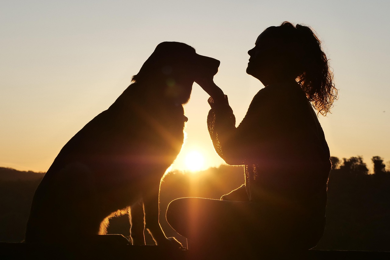 entdecken sie die besten tipps und produkte für die pflege ihres haustiers. von gesunder ernährung bis zu professionellen pflegeangeboten - wir helfen ihnen, ihr tier glücklich und gesund zu halten.