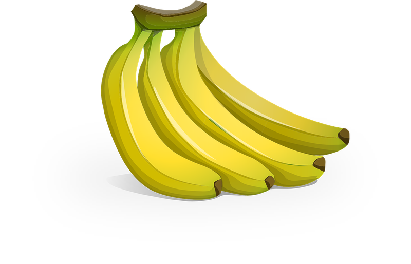 Fitness und Ernährung: Die besten Tipps für einen gesunden Lebensstil