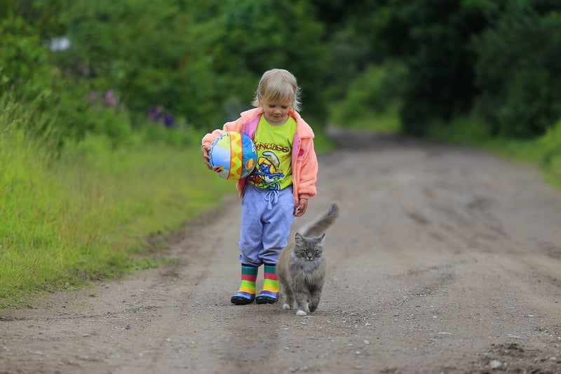 Tierverhalten verstehen: Die Geheimnisse der animalischen Kommunikation